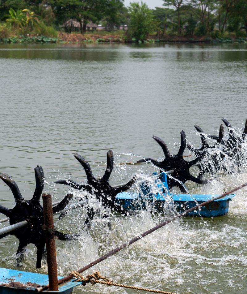 Consultoría Hidráulica, expertos en asesoramiento para la optimización de recusos hidráulicos